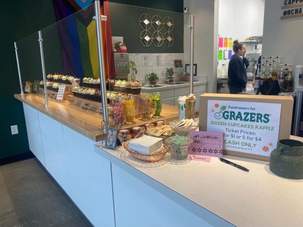 Cupcakes sit on display at Roccos Cupcakes as the business takes part in fundraising to support GRAZERS on March 2, 2024.
