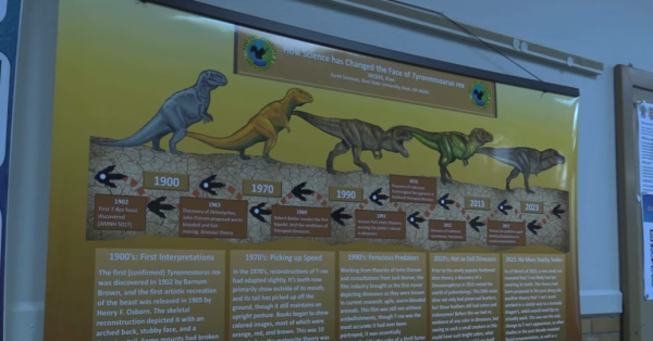 Scientists describe new Tyrannosaurus species