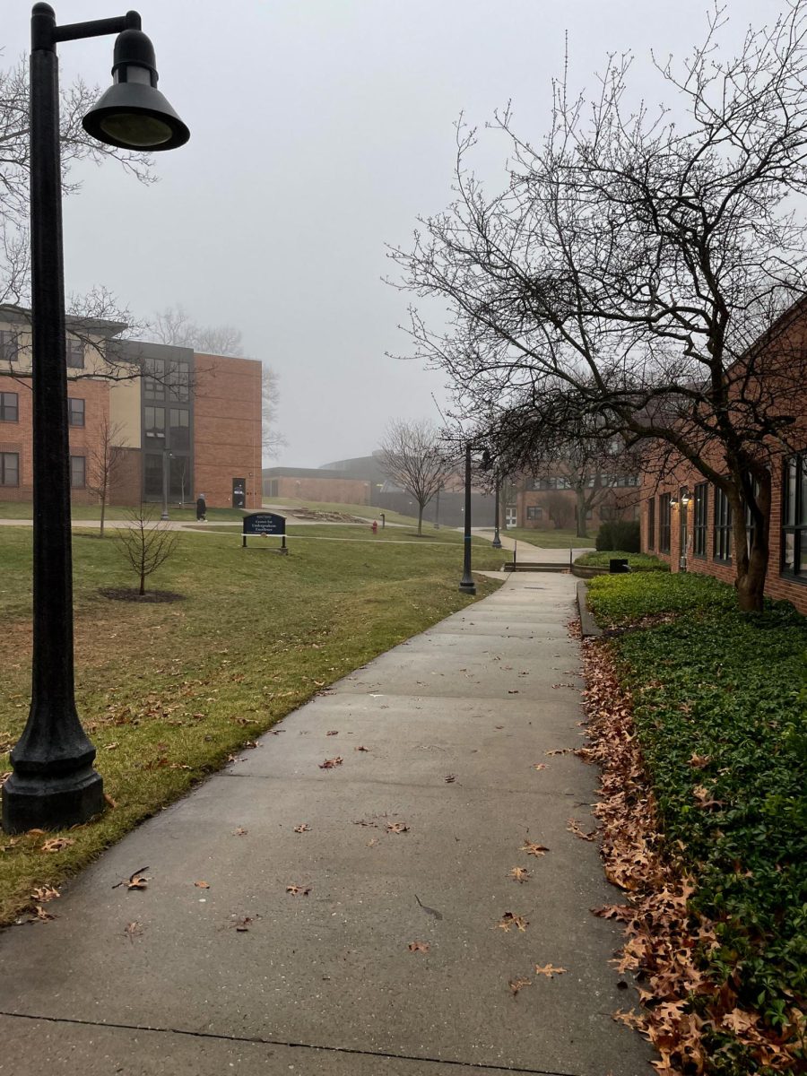 The pathway behind the Center for Undergraduate Excellence on the foggy morning March 6, 2024.