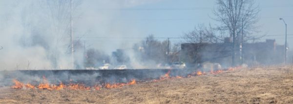 Heating up: Controlled burn of grass by Rec Center allows for summer growth