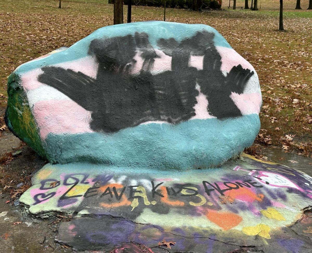 Trans pride flag on campus rock defaced