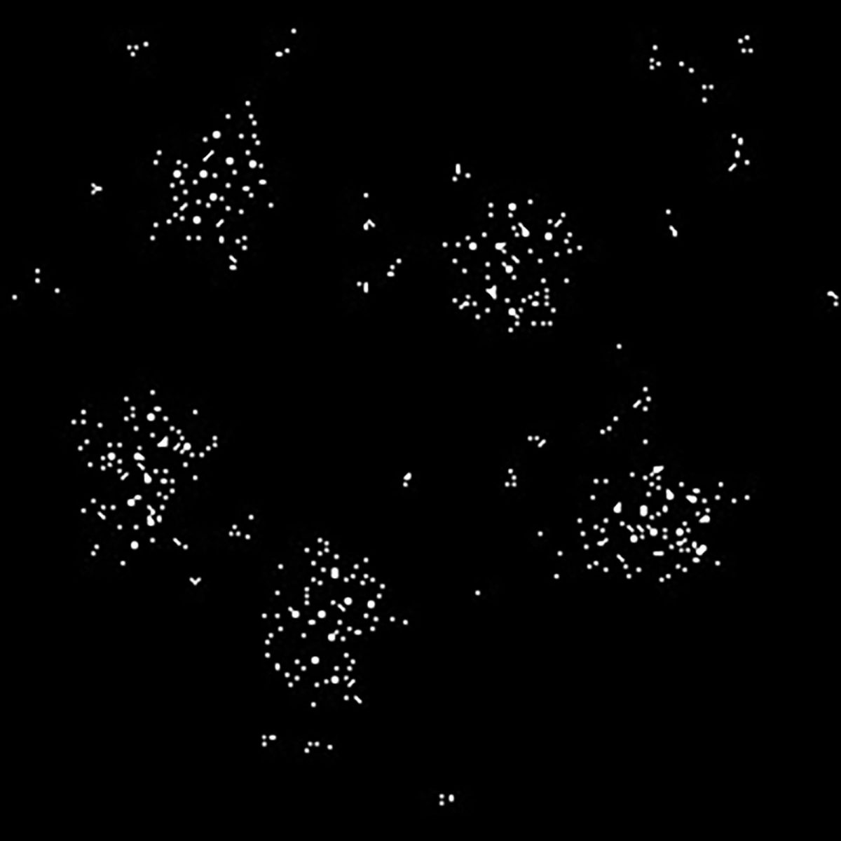 A community of citizen scientists refer to the original visualization of the extracted data as the "starmap."